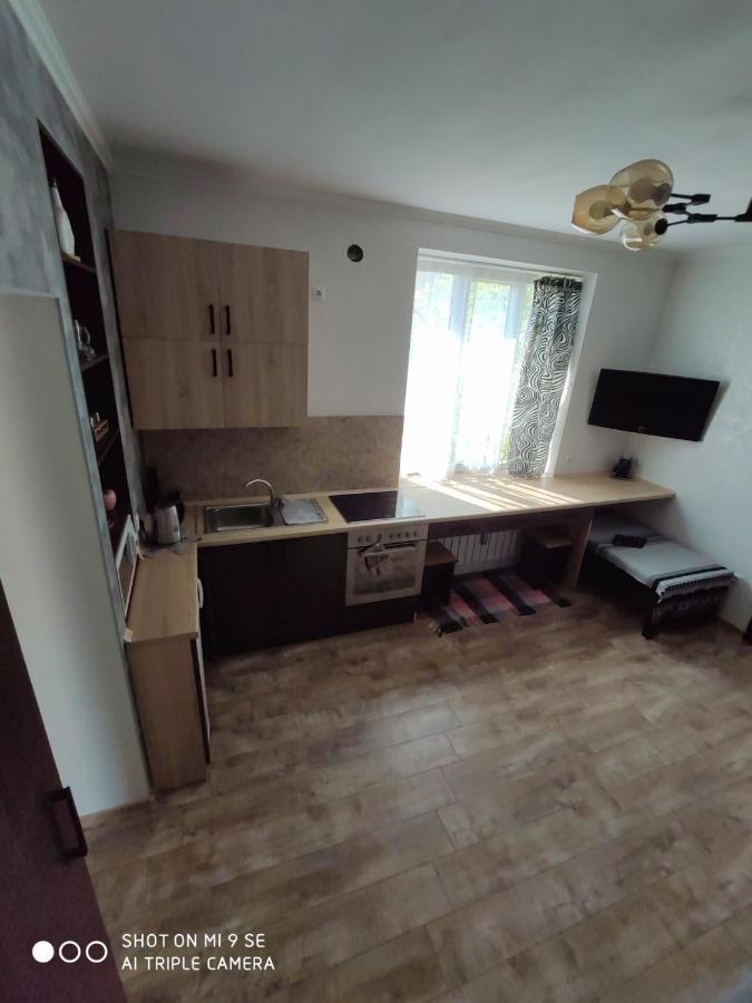 Однокімнатна Квартира-Студія Біля Парку Шевченка Ivano-Frankivsk Eksteriør bilde